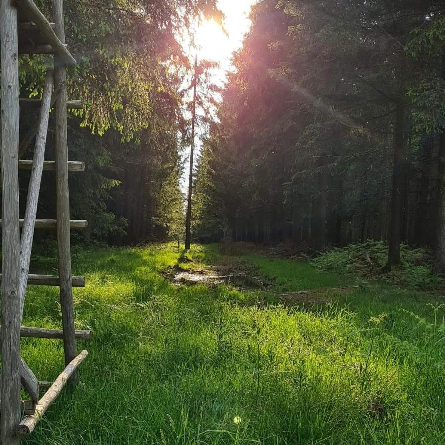 Ferme La Joye Bed & Breakfast Houffalize Bagian luar foto